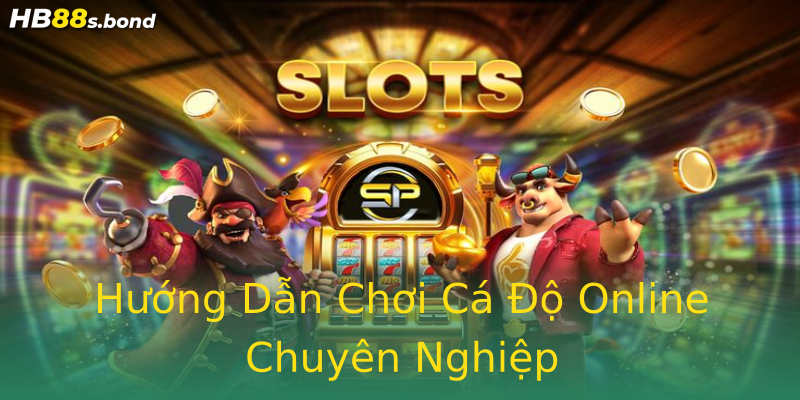 Hướng Dẫn Chơi Cá Độ Online Chuyên Nghiệp