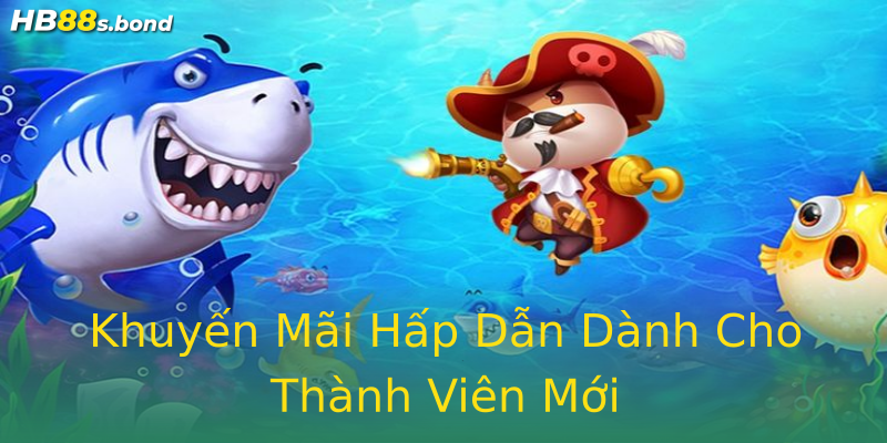Khuyến Mãi Hấp Dẫn Dành Cho Thành Viên Mới