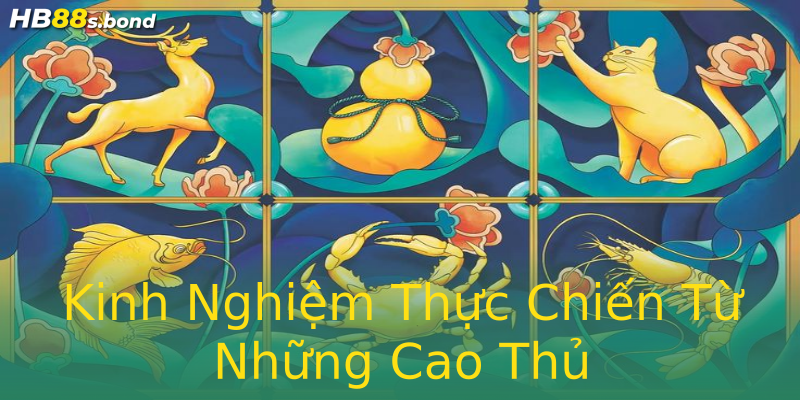Kinh Nghiệm Thực Chiến Từ Những Cao Thủ