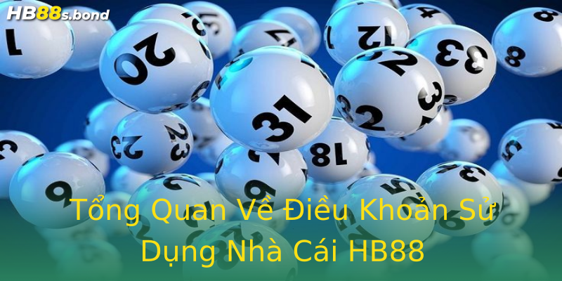 Tổng Quan Về Điều Khoản Sử Dụng Nhà Cái HB88