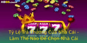 Ty Le Tra Thuong Cua Nha Cai Lam The Nao E Chon Nha Cai Tot Nhat
